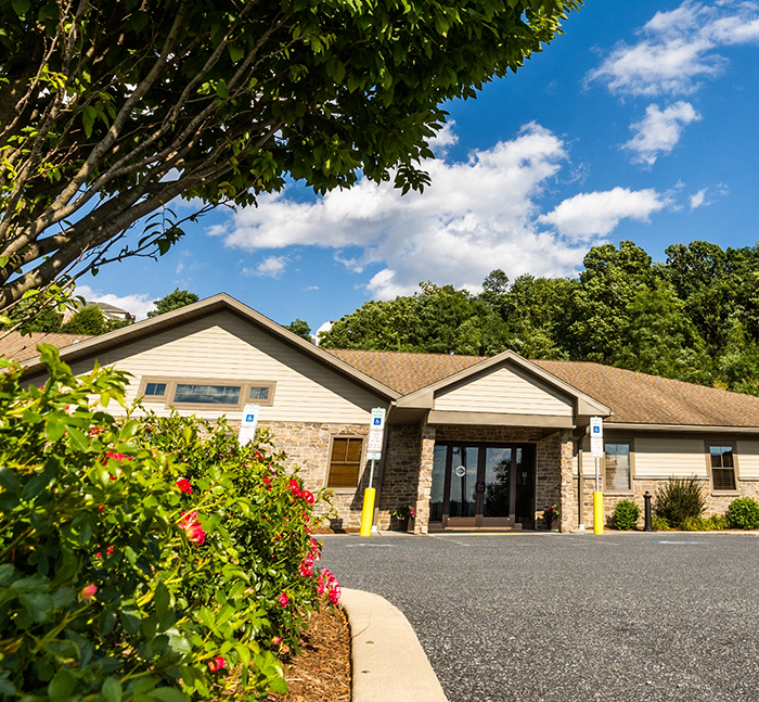 Trees and bushes outside of Conestoga Oral Surgery office in Hershey