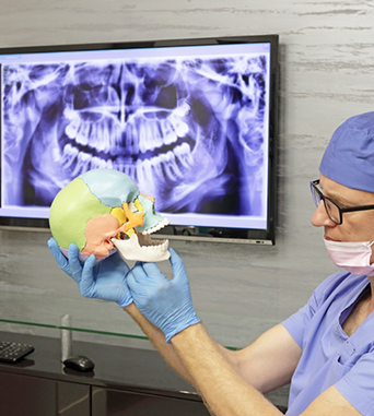 Dentist pointing to the jaw joint on a model of the skull